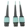 Tripp Lite Mmf Fbr Optic Cable 24F Mtp/Mp, N846D-01M-24BAQ N846D-01M-24BAQ